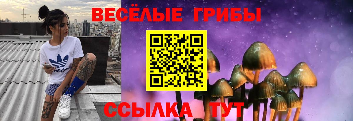 Галлюциногенные грибы Psilocybine cubensis  Вход с VPN  Галлюциногенные грибы GOLDEN TEACHER  Азнакаево 